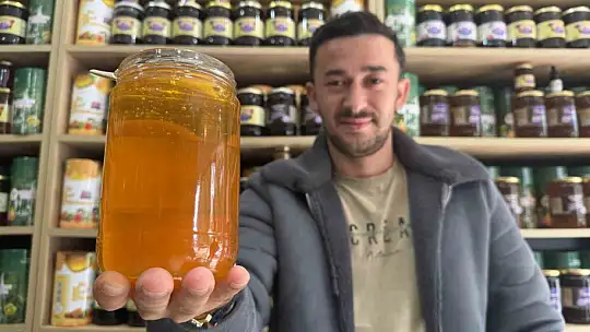 Coğrafi işaretli kestane ve orman gülü balları raflardaki yerini aldı