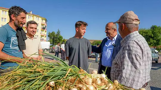 Coğrafi işaretli Taşköprü sarımsağı pazara indi