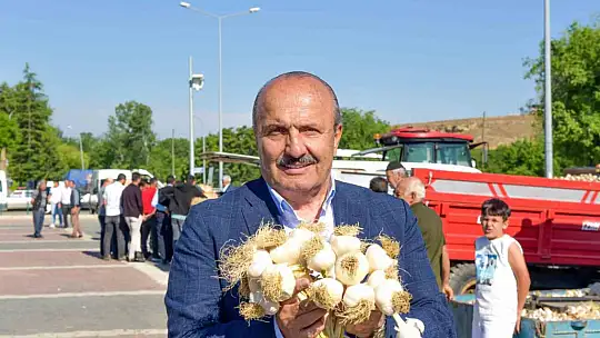 Coğrafi işaretli Taşköprü sarımsağı pazara indi