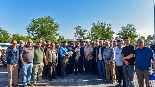 Coğrafi işaretli Taşköprü sarımsağı pazara indi