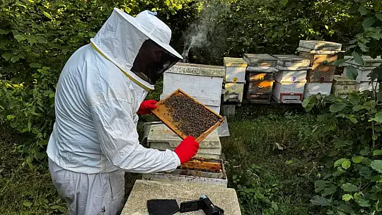 Dedesinin nasihatiyle başladı, şimdi 1 ton bal hedefliyor