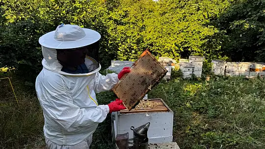 Dedesinin nasihatiyle başladı, şimdi 1 ton bal hedefliyor