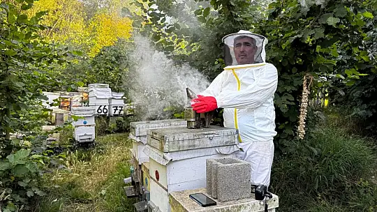 Dedesinin nasihatiyle başladı, şimdi 1 ton bal hedefliyor