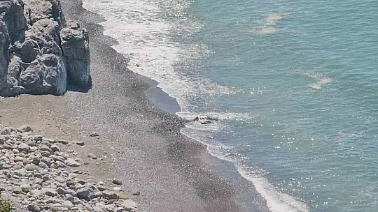 Denizdeki ceset ihbarı 'kaya' çıktı