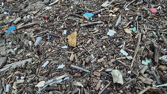 Denizin rengi değişti, plaja tıbbi atıklar vurdu