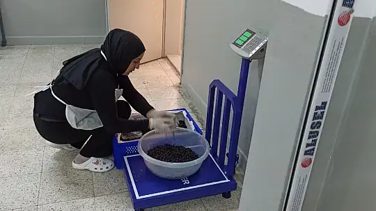 Devrek'te üretilen aronya meyve suyu büyük ilgi görüyor