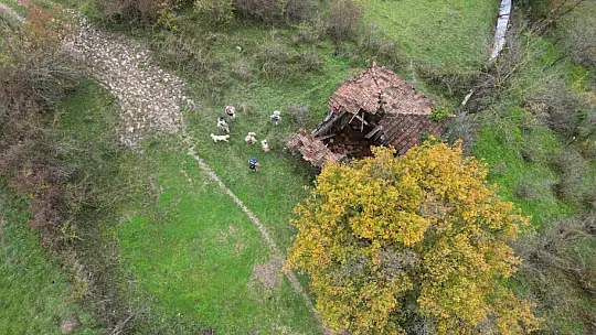 Yaşlı kadını arama çalışmaları sürüyor