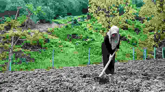 Doğaya aşık üretici kadının başarı hikayesi