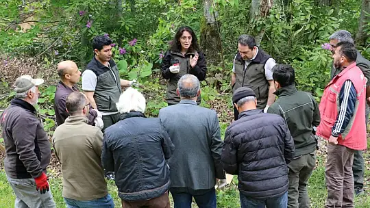 Doğaya savaşçı böcekler bırakıldı