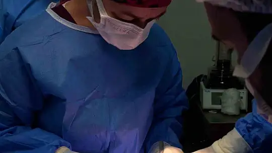 Doğum sırasında bacağı kırılan buzağı, başarılı ameliyatla hayata tutundu