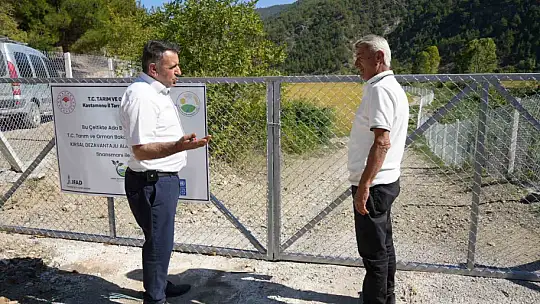 Domuzların talan ettiği çeltik tarlaları, devlet desteğiyle yeniden verimli hale getirildi