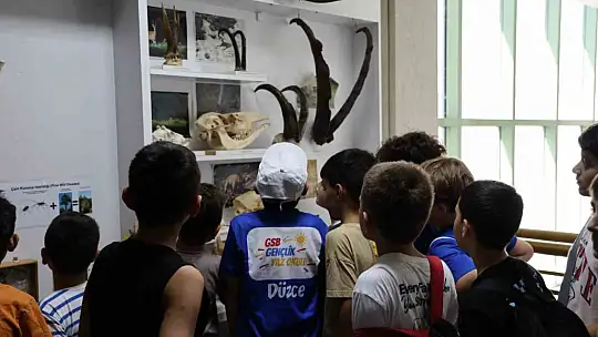 Dondurulmuş hayvan müzesine büyük ilgi