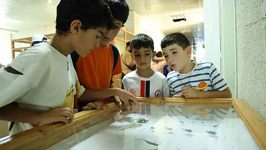 Dondurulmuş hayvan müzesine büyük ilgi
