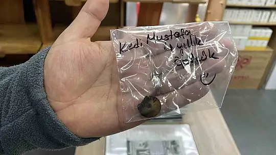 Dört yıldır kusan kedinin midesinden buzdolabı vakumu çıktı