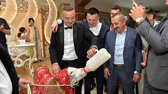Düğünde gelin ve damada ilginç takı: Buzağı hediye ettiler