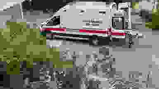 Dut toplarken ağaçtan düşüp yaralandı