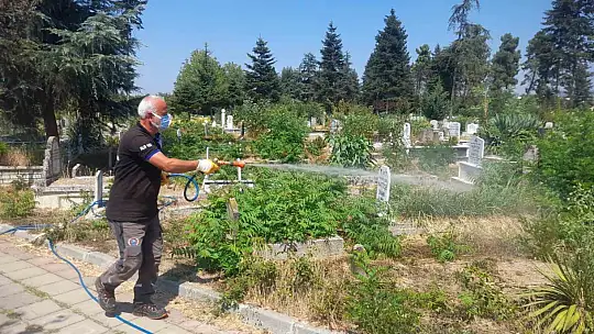 Düzce Belediyesi bin 308 cenazenin naklini sağlandı