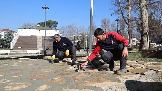 Düzce'de 14 bine yakın bitki dikildi