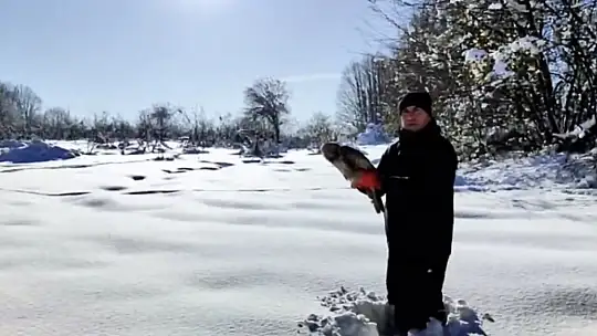 Düzce'de 211 yaban hayvanı doğaya salındı