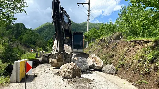 Düzce'de aşırı yağışlar heyelana neden oluyor