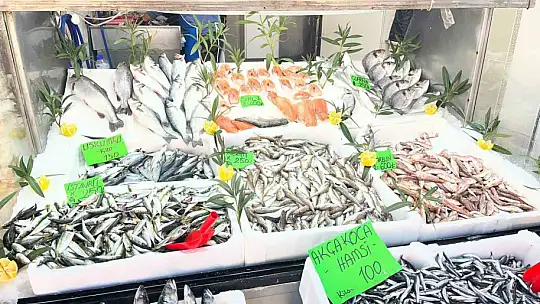 Düzce'de balık fiyatları düşerken, vatandaşlar balığa yöneliyor