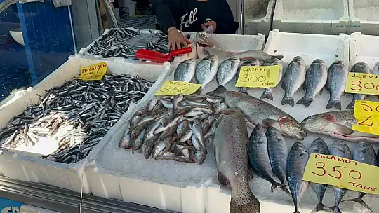 Düzce'de balık fiyatları düşerken, vatandaşlar balığa yöneliyor