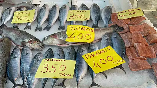 Düzce'de balık fiyatları düşerken, vatandaşlar balığa yöneliyor