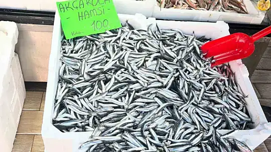 Düzce'de balık fiyatları düşerken, vatandaşlar balığa yöneliyor