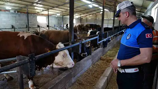 Düzce'de denetimler bayram sonuna kadar sürecek
