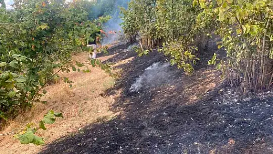 Fındıklıkta korkutan yangın