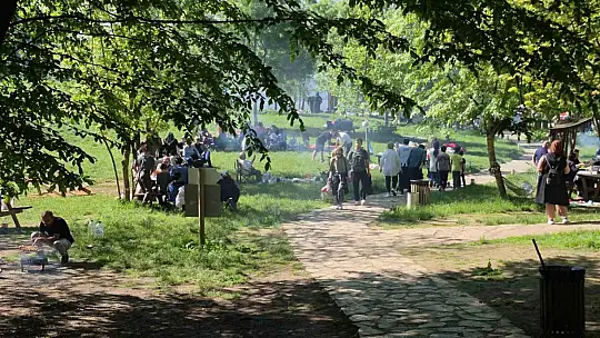 Düzce'de güneşi görenler soluğu mesire alanlarında aldı