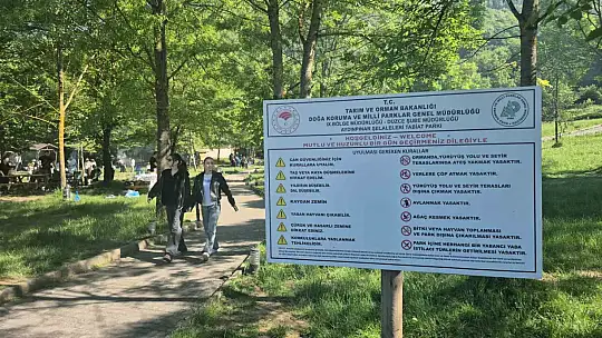 Düzce'de güneşi görenler soluğu mesire alanlarında aldı