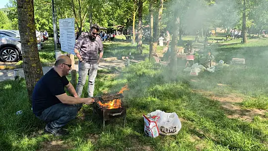 Düzce'de güneşi görenler soluğu mesire alanlarında aldı