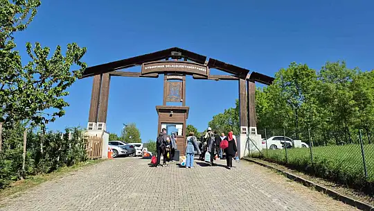 Düzce'de güneşi görenler soluğu mesire alanlarında aldı