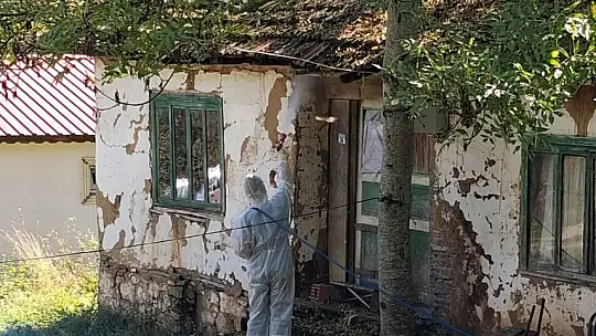 Kahverengi kokarcaya karşı kışlak mücadelesi başladı