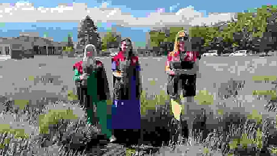 Düzce'de lavanta hasadı başladı
