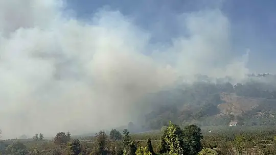 Düzce'de orman yangını 5. saatinde