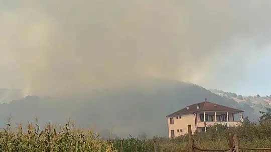 Düzce'de orman yangını 5. saatinde