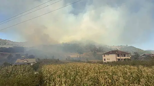 Düzce'de orman yangını 5. saatinde