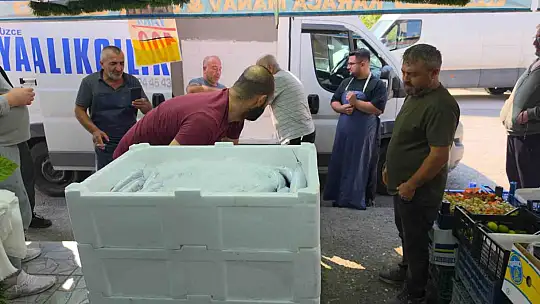 Düzce'de palamut tezgaha indi, vatandaş sıraya girdi