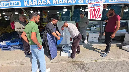 Düzce'de palamut tezgaha indi, vatandaş sıraya girdi