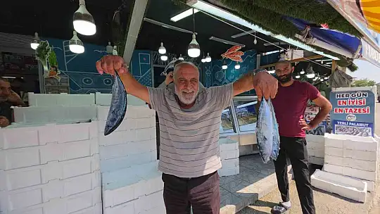 Düzce'de palamut tezgaha indi, vatandaş sıraya girdi