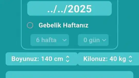 Düzce'de riskli gebeler yakın takipte