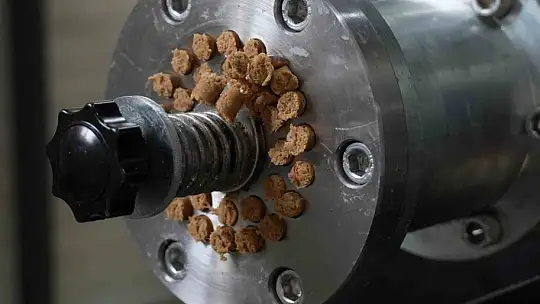 Düzce'de sokak hayvanları için mama üretim tesisi kuruldu
