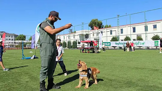 Düzce'de spor etkinlikleriyle farkındalık artıyor
