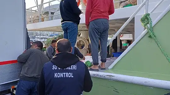 Düzce'de su ürünleri denetimi: Yasal boy altındaki 11 kasa balığa el konuldu