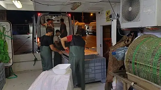 Düzce'de su ürünleri denetimi: Yasal boy altındaki 11 kasa balığa el konuldu