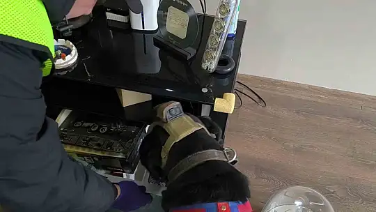 Düzce'de suç örgütü operasyonu: 36 gözaltı