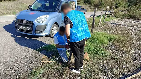 Düzce'de yanan orman alanları