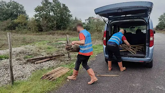 Düzce'de yanan orman alanları